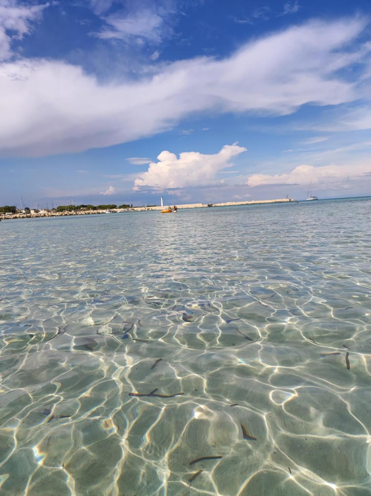Casa Vacanze Il Faro San Vito Lo Capo-Trapani-Sicilia Ovest Holiday Home Exteriör bild